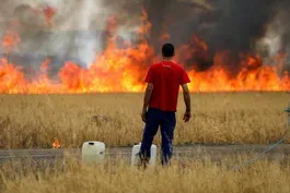 Europe struggles with wildfires, uncertainty amid heat wave