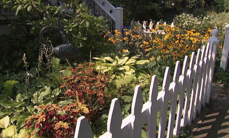 Garden Wisdom for Western New York and Southern Ontario