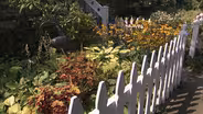 Garden Wisdom for Western New York and Southern Ontario