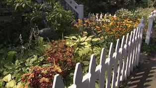 Garden Wisdom for Western New York and Southern Ontario
