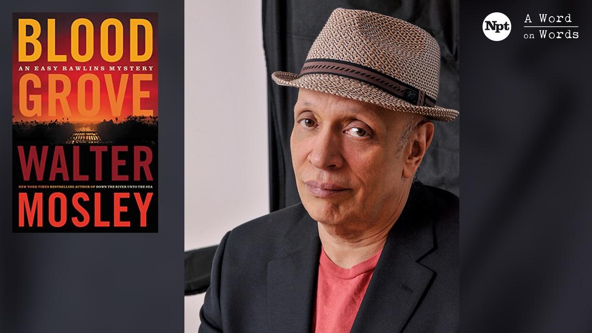 Blood Grove Walter Mosley A Word on Words ALL ARTS