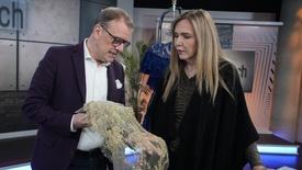 Luxury Lace/ France: asset-mezzanine-16x9