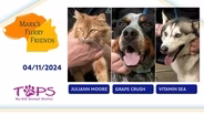 04/11/2024 | Juliann Moore, Grape Crush and Vitamin Sea | Mark's Furry Friends