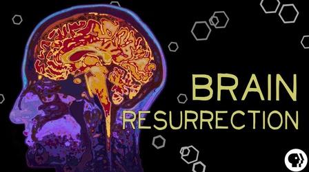 Video thumbnail: BrainCraft Ways to Bring the Brain Dead ‘Back to Life’