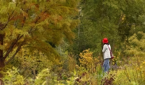 What it takes to save some of Earth’s most threatened plants