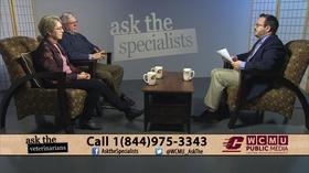 Video thumbnail: Ask The Specialists Ask the Veterinarians