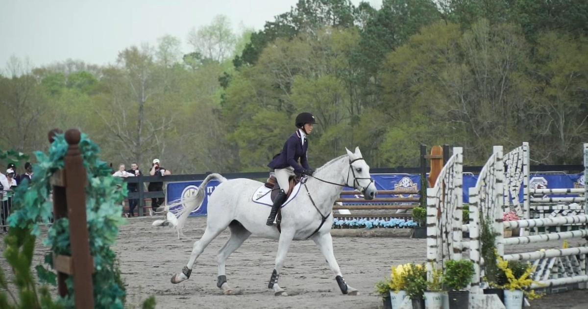 Spotlight on Agriculture | Equine Program | Season 4 | Episode 3