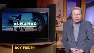 Weekly Essay | Roy Finden