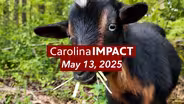 May 13, 2025 | Carolina Impact