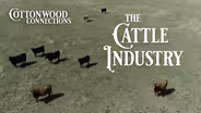 Cattle Industry