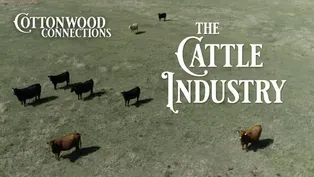 Cattle Industry