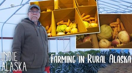 Video thumbnail: Indie Alaska Running the only commercial farm in rural Alaska