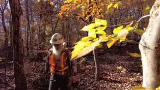 The Uwharrie Trailblazers