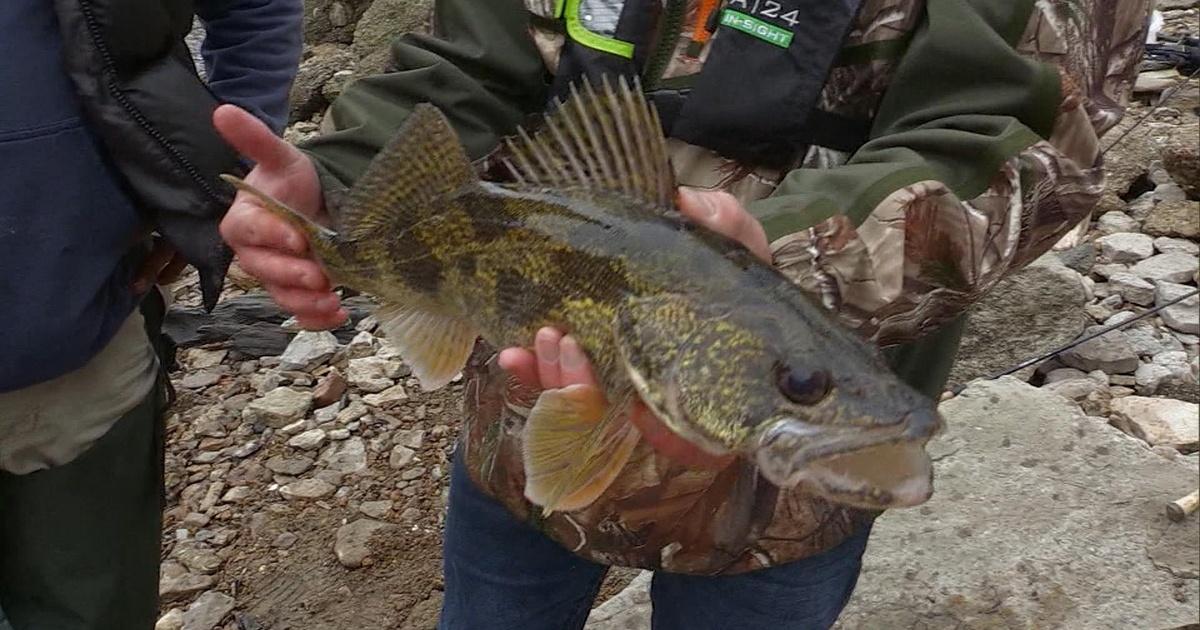 Kentucky Afield Rabbit Hunting with Kids; Sauger Fishing; and more