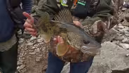 Rabbit Hunting with Kids; Sauger Fishing; and more