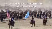 2025 South Dakota Custer State Park Buffalo Roundup