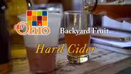 Backyard Fruit - Hard Cider