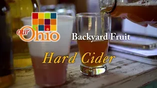 Backyard Fruit - Hard Cider