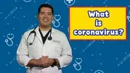 What is Coronavirus?