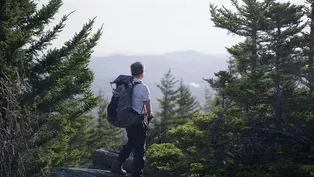 Daniel Boone Scout Trail, Grandfather Mountain