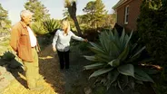 Volunteer Gardener 3312