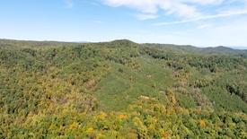 Oconee Treasures: asset-mezzanine-16x9