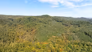 Oconee Treasures