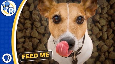 Video thumbnail: Reactions Why Dog Food STINKS!