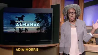 Weekly Essay | Adia Morris’ Vacation Quandary