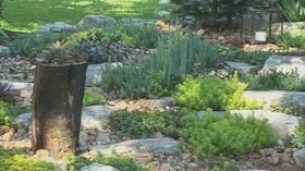Video thumbnail: Volunteer Gardener Volunteer Gardener 2740