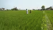 India challenged with feeding its people amid climate change