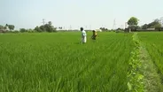 India challenged with feeding its people amid climate change