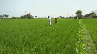 India challenged with feeding its people amid climate change