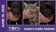 06/26/2025 | Daniel, Kayla and Kim | Mark's Furry Friends Extra