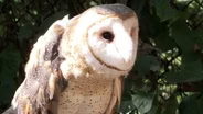 Taking a Walk on the Wild Side at Woodlands Nature Station