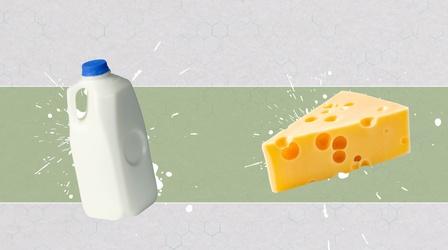 Video thumbnail: Reactions Don't Drink Raw Milk. But What About Raw Milk Cheese?