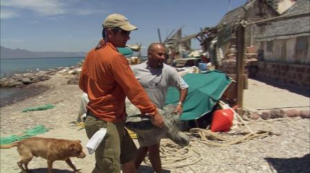 Video thumbnail: The Desert Speaks Sea of Cortez: Then and Now