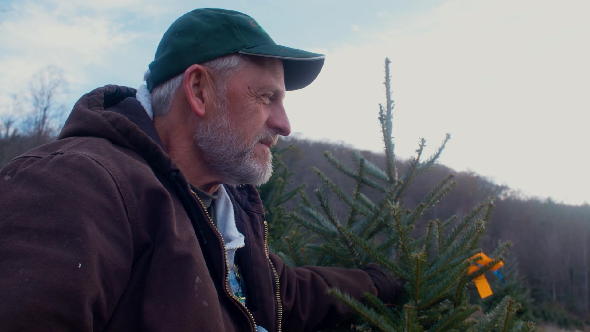 The Christmas Tree Whisperer