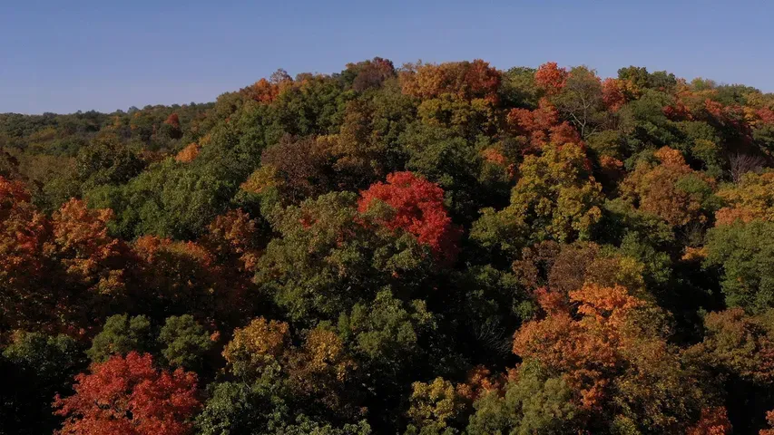 Portrait of a Landscape: Seasons