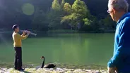 Taiwan Naturally
