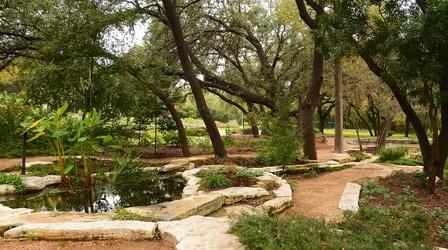 Video thumbnail: Central Texas Gardener What’s Behind a “Green Thumb?”