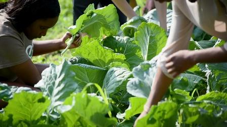 Video thumbnail: Chasing the Dream Chasing the Dream: Food Insecurity