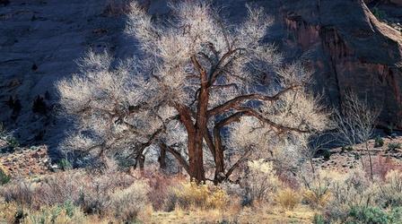 Video thumbnail: PBS NewsHour Landscape photographer races to finish decades of work