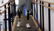 Why insurance companies are denying coverage for prosthetics
