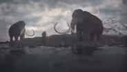 The Traits That Spawned the Age of Mammals
