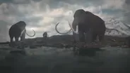 The Traits That Spawned the Age of Mammals