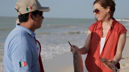 Video thumbnail: Pati's Mexican Table Celestun: Coastal Cooking