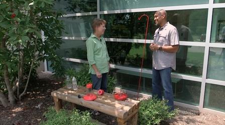 Video thumbnail: The Family Plot Soil pH & Hummingbird Feeders