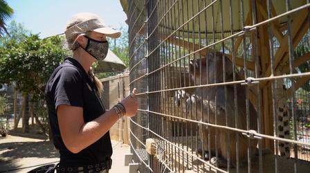 Video thumbnail: Inside California Education Community Colleges – Teaching Zoo