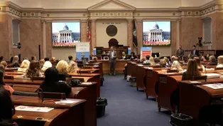 Nurses Rally At Capitol